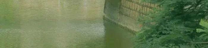 企鹅号如何赚钱视频,企鹅号如何赚钱视频下载