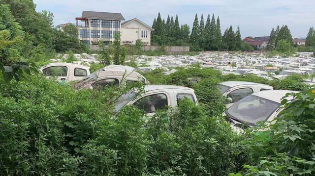 gofun共享汽车app下载,gofun共享汽车app下载最新版