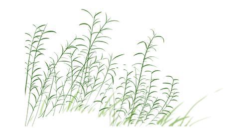 深院无穷碧免费阅读,深院无穷碧免费阅读20