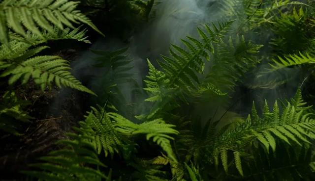 九千万矿泉水加盟费用多少钱,矿泉水加盟需要多少钱