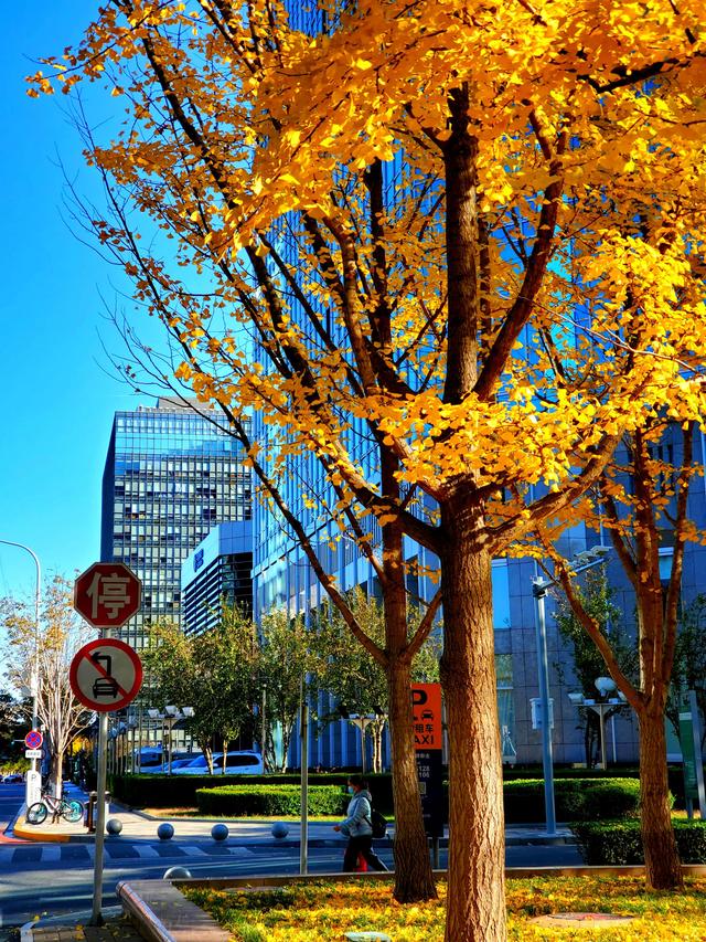 阿托尔斯泰的代表作,阿托尔斯泰的代表作三部曲小说