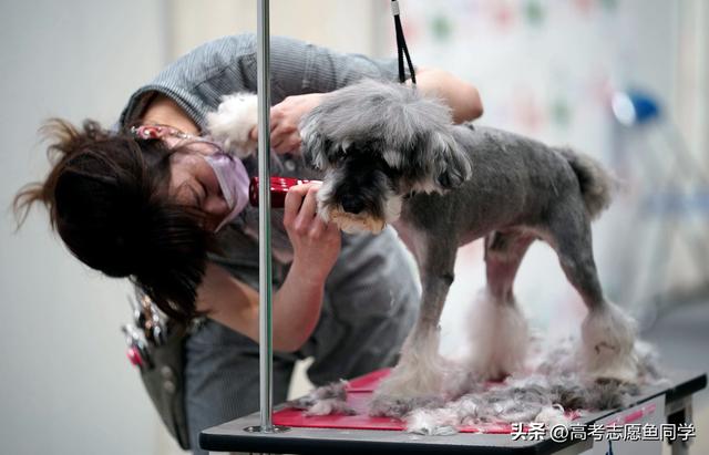 适合笨人学的手艺女生,适合笨人学的手艺女生有哪些