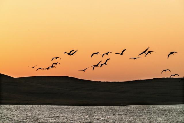 诗经最著名的十首诗翻译,诗经最著名的十首诗翻译及注释