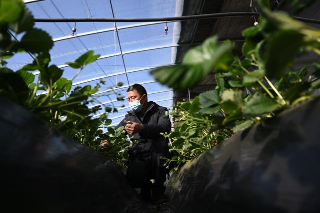 顿五笔怎么打字,顿五笔怎么打字五笔字