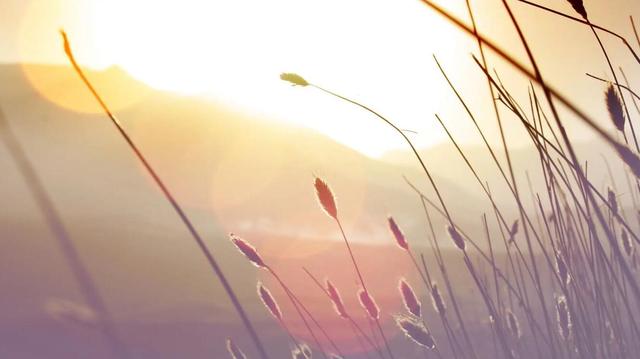 金牛座断联多久联系他,想和金牛座好起来一定要断联