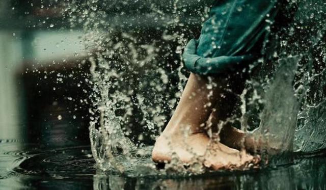 临时妻子多少钱,找个临时老公