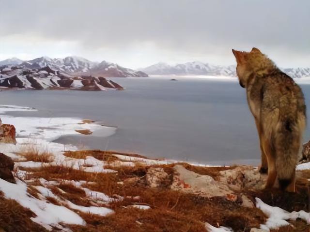 黄河地图高清版大图_全线,黄河地图高清版大图_全图