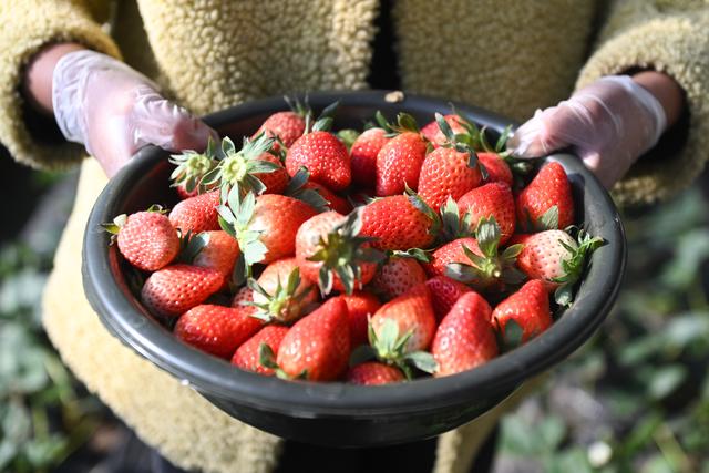 顿五笔怎么打字,顿五笔怎么打字五笔字