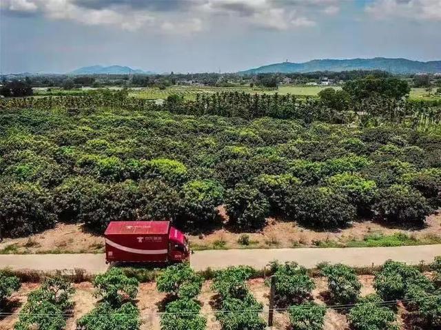 京东plus会员是什么意思,京东plus会员是什么意思翻译