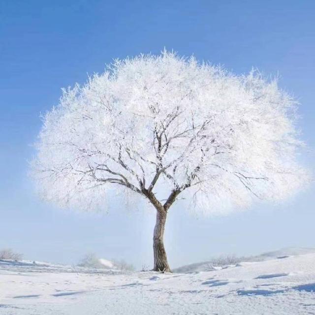 老人死了不能穿红色,老人死后穿红对谁不好