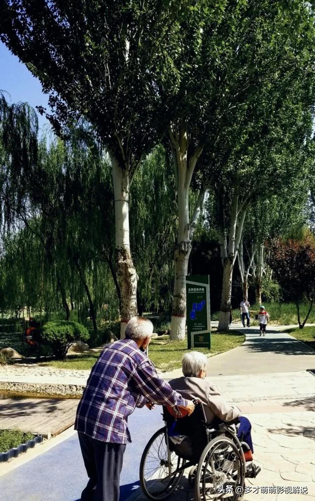 张顺平简介_小提琴,张顺平简介小提琴