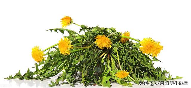 有什么方法可以让羊不动,有什么方法可以让羊不动产