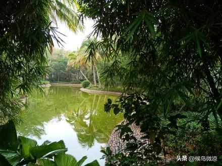 因为风就在那里彭野程迦部分在实体书的哪面,因为风就在那里中彭野程迦