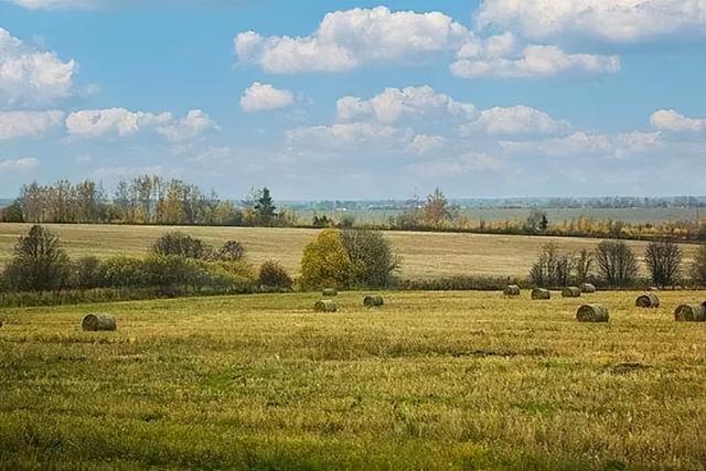 六本完本直播类小说，直播系统荒野求生科技，都是经典小说！