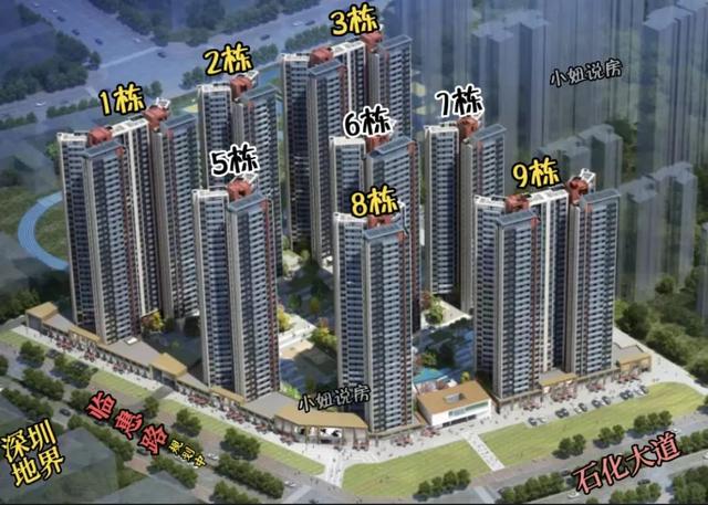 大亚湾房管局官网备案查询,大亚湾房管局官网备案查询系统