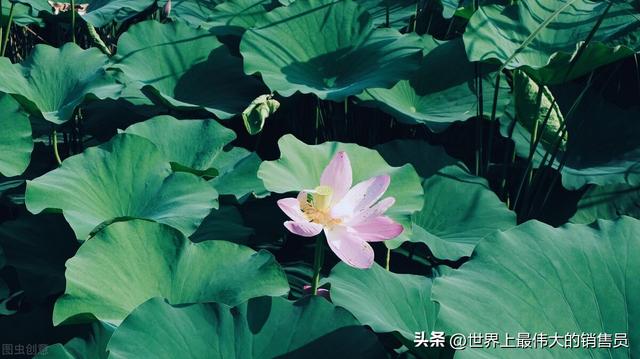 大学规划书800字大一新生篇,大学规划书大一新生1200字