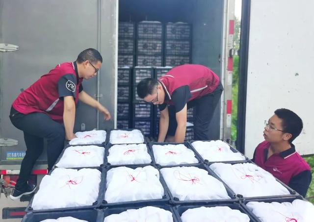 圆通妈妈驿站和菜鸟驿站的区别,圆通妈妈驿站和菜鸟驿站的区别在哪