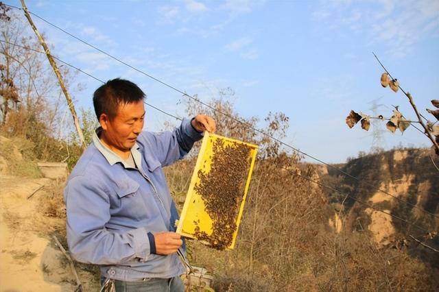 公司盈利模式怎么写分析,公司盈利模式怎么写的