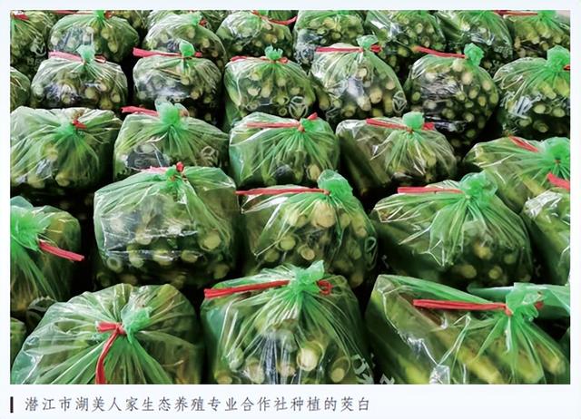 寻求合作养殖开发养猪，寻求合作养殖开发养猪项目