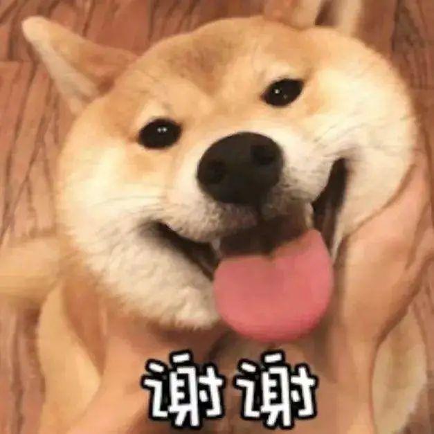 电商客服做了10天后悔怎么办,电商客服做了10天后悔怎么办呢