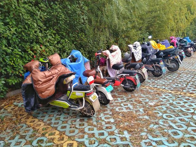 一个女人在家养殖什么赚钱养鸡在那里,在家养鸡能挣钱吗