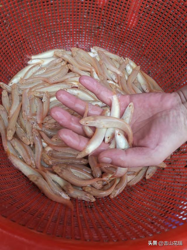 水处理斜管价格,测斜管价格多少