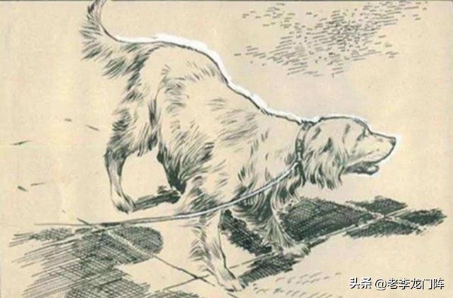 女人与拘交自述小说Aw，