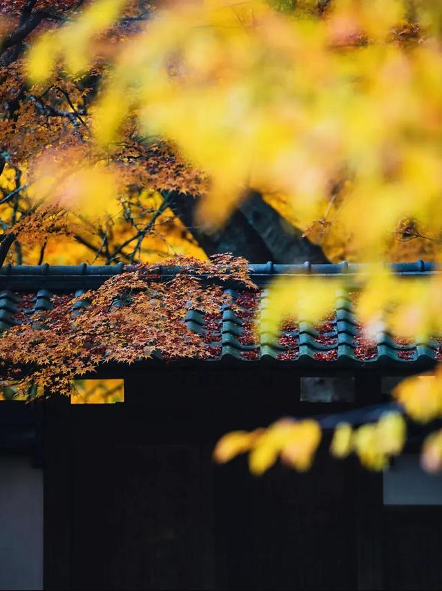 现在开什么店生意好投资小店面小，现在开什么店生意好投资小店面小点