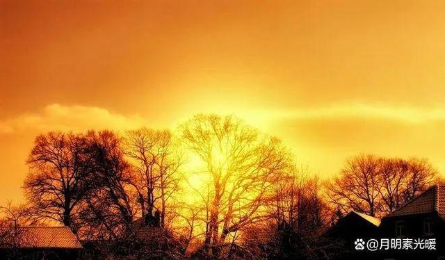 买了10万块基金赔到6万,这些基金不能碰，买基金赔了几十万