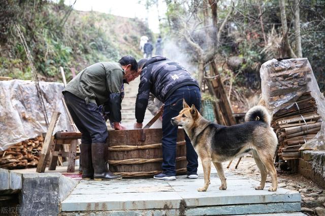 情景喜剧冠军是谁，情景喜剧排行榜