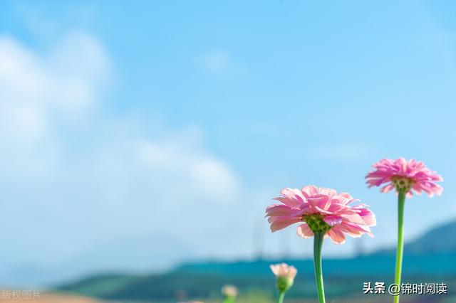 女人慕强是什么意思，为什么说女孩慕强