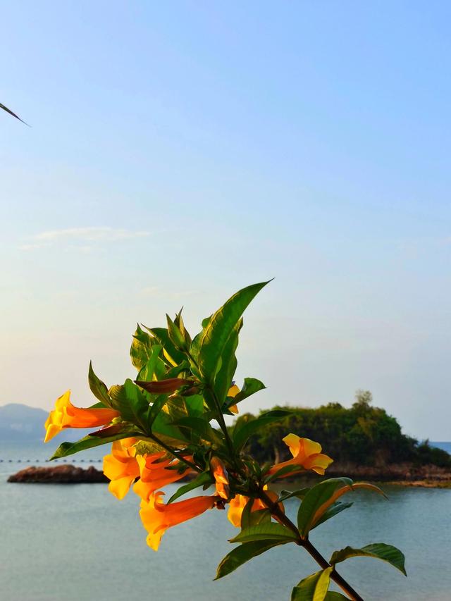 看破红尘的七绝诗有哪些，看破红尘的七绝诗有哪些呢