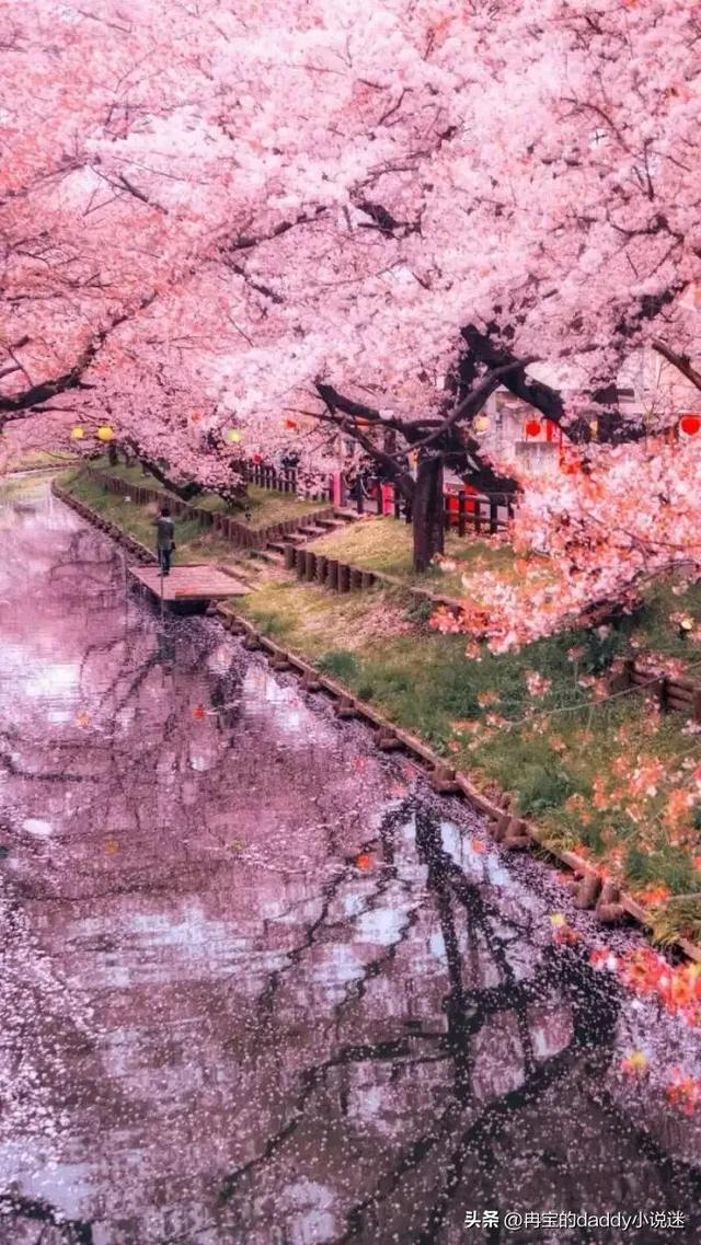 推荐几部穿越龙王传说小说完结文，穿越龙王传说的小说推荐