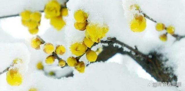 买了10万块基金赔到6万,这些基金不能碰，买基金赔了几十万