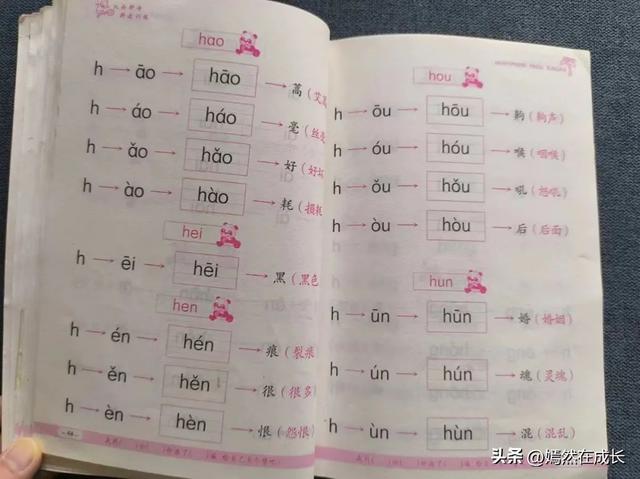 练拼音打字的软件哪个好，练拼音打字的软件苹果下载