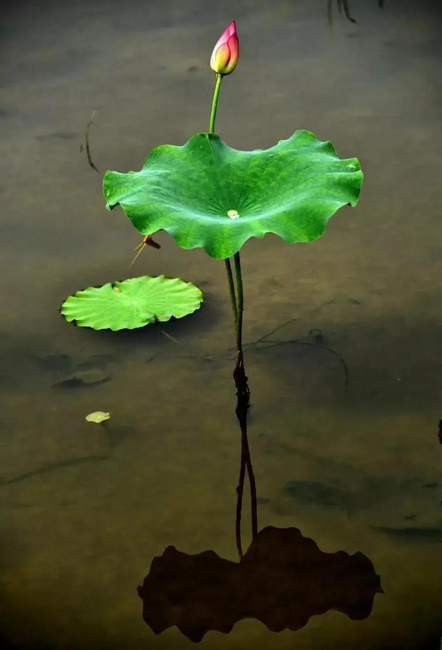 现在开什么店生意好投资小店面小，现在开什么店生意好投资小店面小点