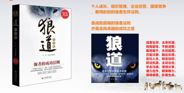 团队最重要的三要素总结是什么，团队的三个要素