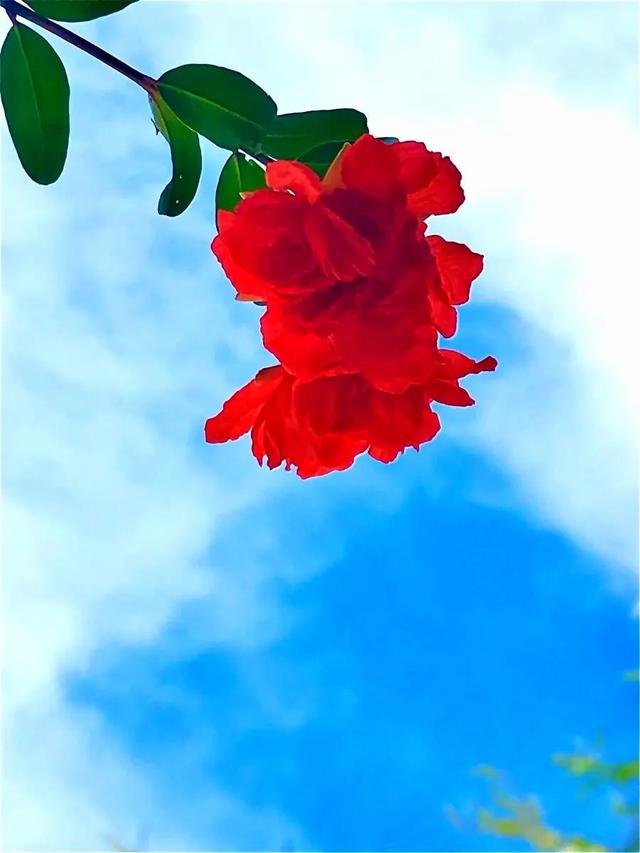 看破红尘的七绝诗有哪些，看破红尘的七绝诗有哪些呢