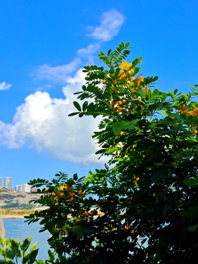 看破红尘的七绝诗有哪些，看破红尘的七绝诗有哪些呢