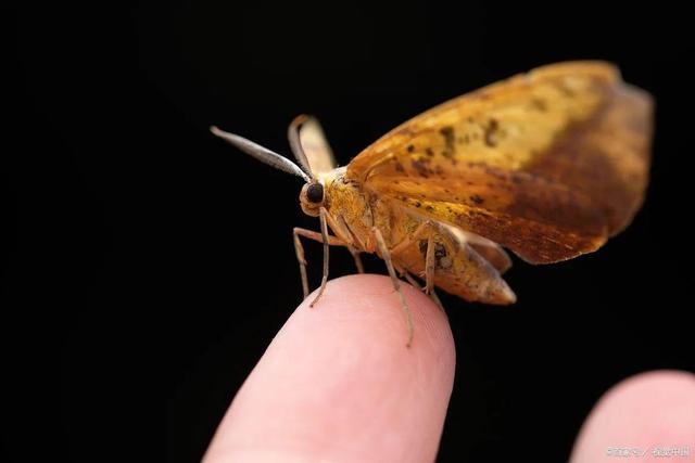 女朋友吓到哭的鬼故事短篇，女朋友吓到哭的鬼故事短篇小说