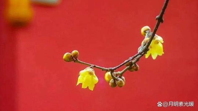 买了10万块基金赔到6万,这些基金不能碰，买基金赔了几十万