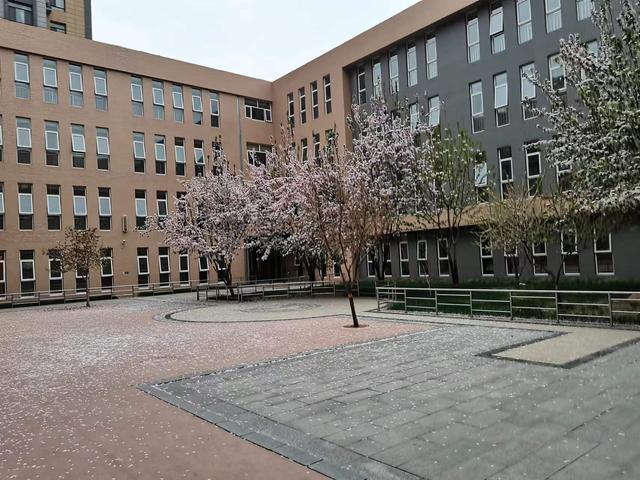 班风的内容四个字概括，班风的内容四个字是什么