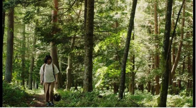 交易沦陷_在下小神笔_TXT下载百度云，交易沦陷在下小神jbl百度网盘