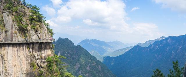 成功创业者的培育需要有哪些，成功创业者的培育需要有哪些条件