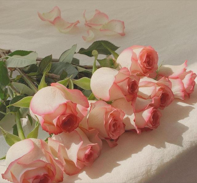 会影响男人情绪的女人，能影响一个男人情绪的女人