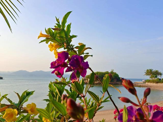 看破红尘的七绝诗有哪些，看破红尘的七绝诗有哪些呢