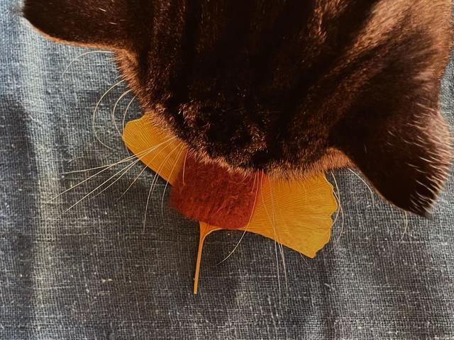 让人心灵宁静的图片_唯美，让人心灵宁静的图片_唯美高清