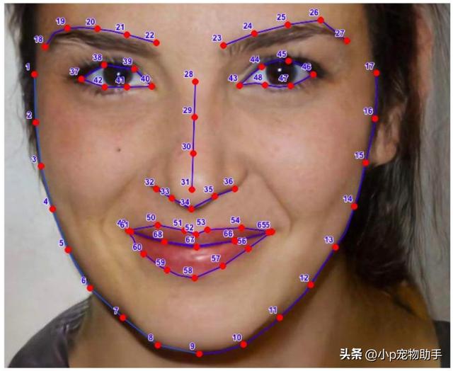 数据标注员亲身经历体验，数据标注员亲身经历体验怎么写