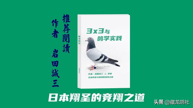 鸽子品种排名图片，鸽子品种排名图片价格