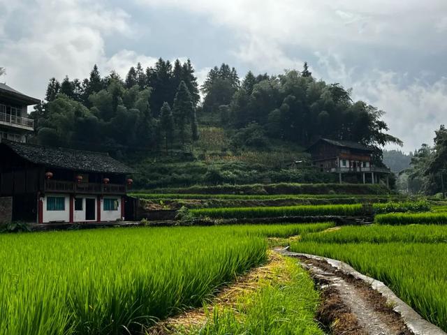 张也个人资料简介简历，张也个人资料简介简历结婚吗